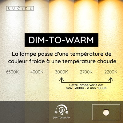 Lucide TASSA - Plafonnier Salle de bains - Ø 13,5 cm - LED Dim to warm - 1x12W 1800K/3000K - IP40 - Noir